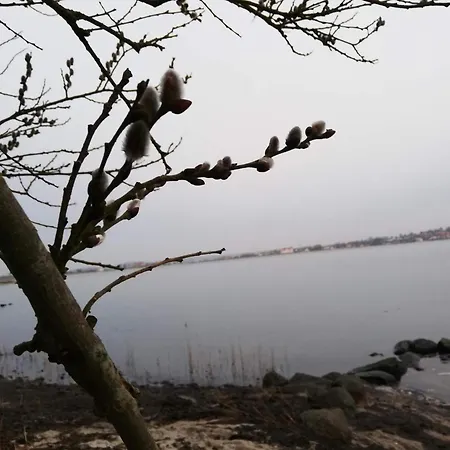 5 Person In Hejls-by Traum * Hejls